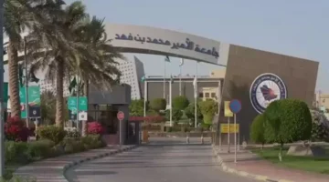 رابط التقديم المباشر.. وظائف شاغرة في الجامعات الحكومية بمرتبات مجزية ونظام تعاقد جديد